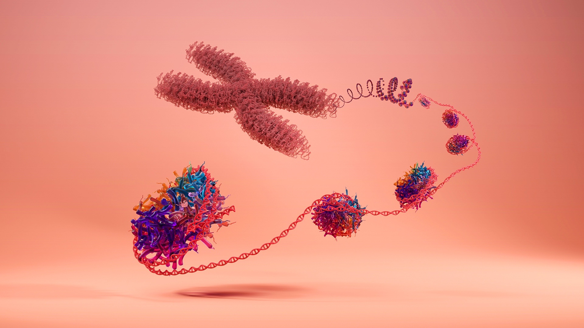 Volition Nucleosome Illustration HR 2