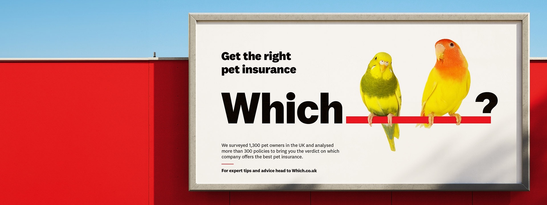 Which Birds Billboard banner